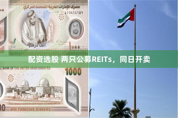 配资选股 两只公募REITs，同日开卖