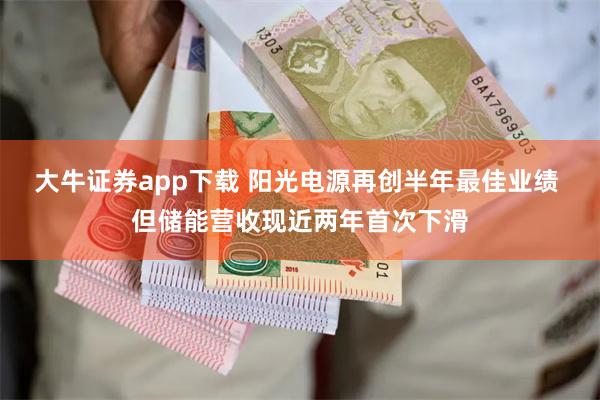 大牛证券app下载 阳光电源再创半年最佳业绩 但储能营收现近两年首次下滑