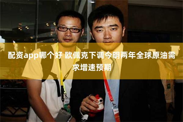 配资app哪个好 欧佩克下调今明两年全球原油需求增速预期