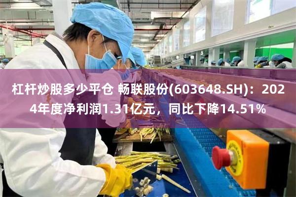 杠杆炒股多少平仓 畅联股份(603648.SH)：2024年度净利润1.31亿元，同比下降14.51%