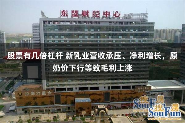 股票有几倍杠杆 新乳业营收承压、净利增长，原奶价下行等致毛利上涨