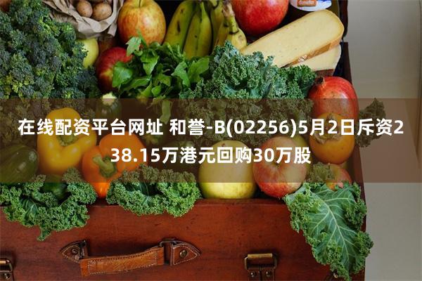 在线配资平台网址 和誉-B(02256)5月2日斥资238.15万港元回购30万股