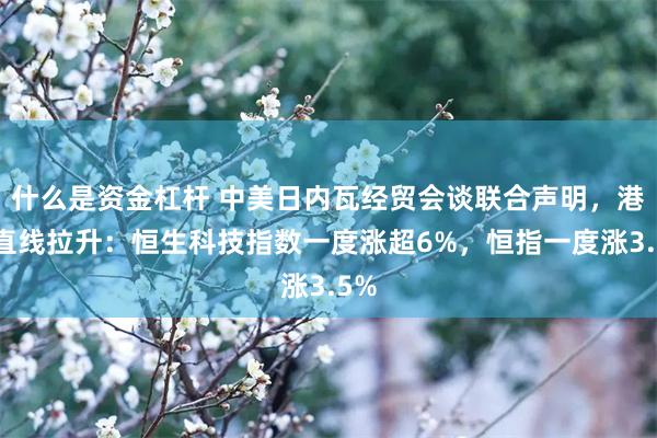什么是资金杠杆 中美日内瓦经贸会谈联合声明，港股直线拉升：恒生科技指数一度涨超6%，恒指一度涨3.5%
