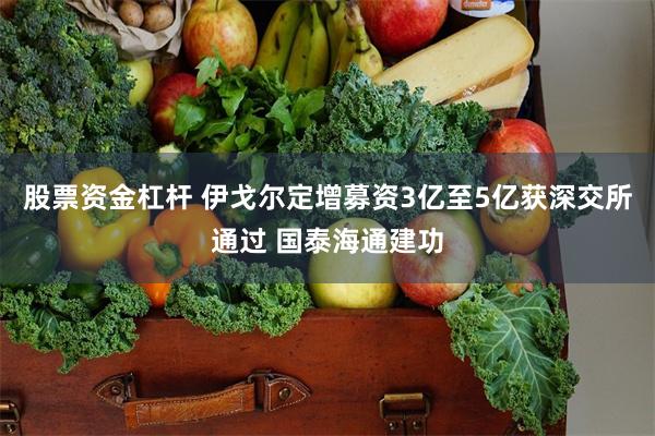 股票资金杠杆 伊戈尔定增募资3亿至5亿获深交所通过 国泰海通建功
