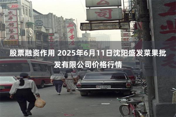 股票融资作用 2025年6月11日沈阳盛发菜果批发有限公司价格行情