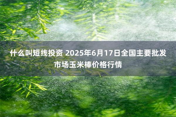 什么叫短线投资 2025年6月17日全国主要批发市场玉米棒价格行情