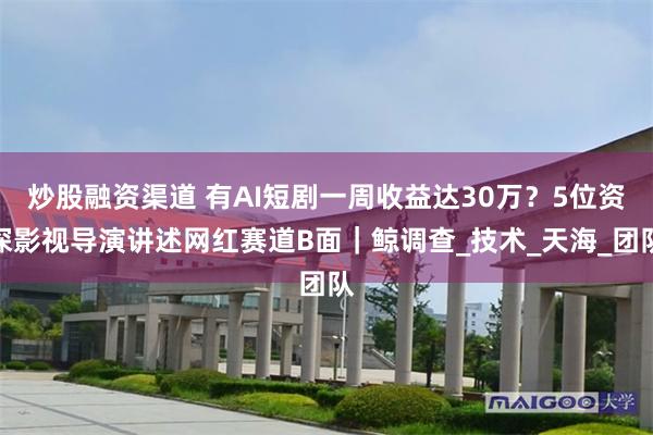 炒股融资渠道 有AI短剧一周收益达30万？5位资深影视导演讲述网红赛道B面｜鲸调查_技术_天海_团队