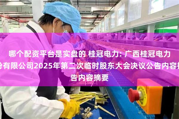 哪个配资平台是实盘的 桂冠电力: 广西桂冠电力股份有限公司2025年第二次临时股东大会决议公告内容摘要