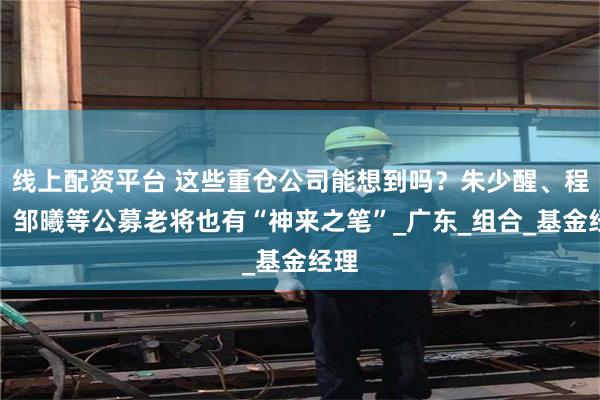 线上配资平台 这些重仓公司能想到吗？朱少醒、程洲、邹曦等公募老将也有“神来之笔”_广东_组合_基金经理