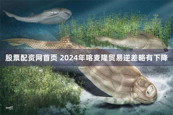 股票配资网首页 2024年喀麦隆贸易逆差略有下降
