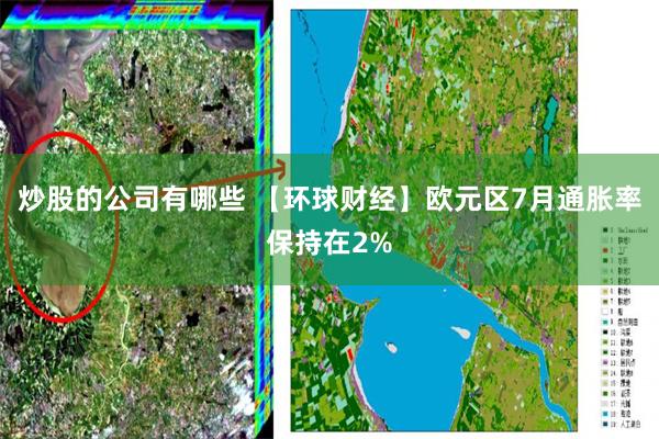 炒股的公司有哪些 【环球财经】欧元区7月通胀率保持在2%