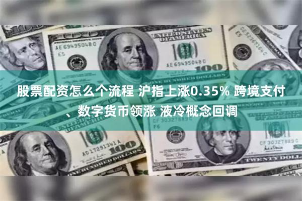 股票配资怎么个流程 沪指上涨0.35% 跨境支付、数字货币领涨 液冷概念回调